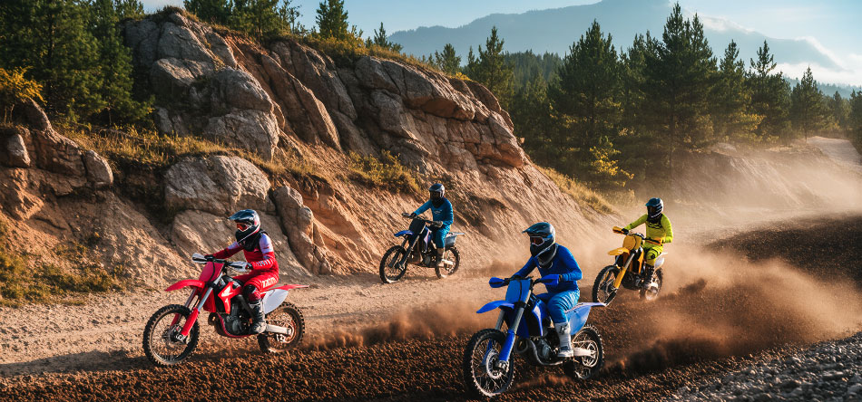 Off-Road Listrik